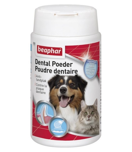 Dental Poeder 75 gr
